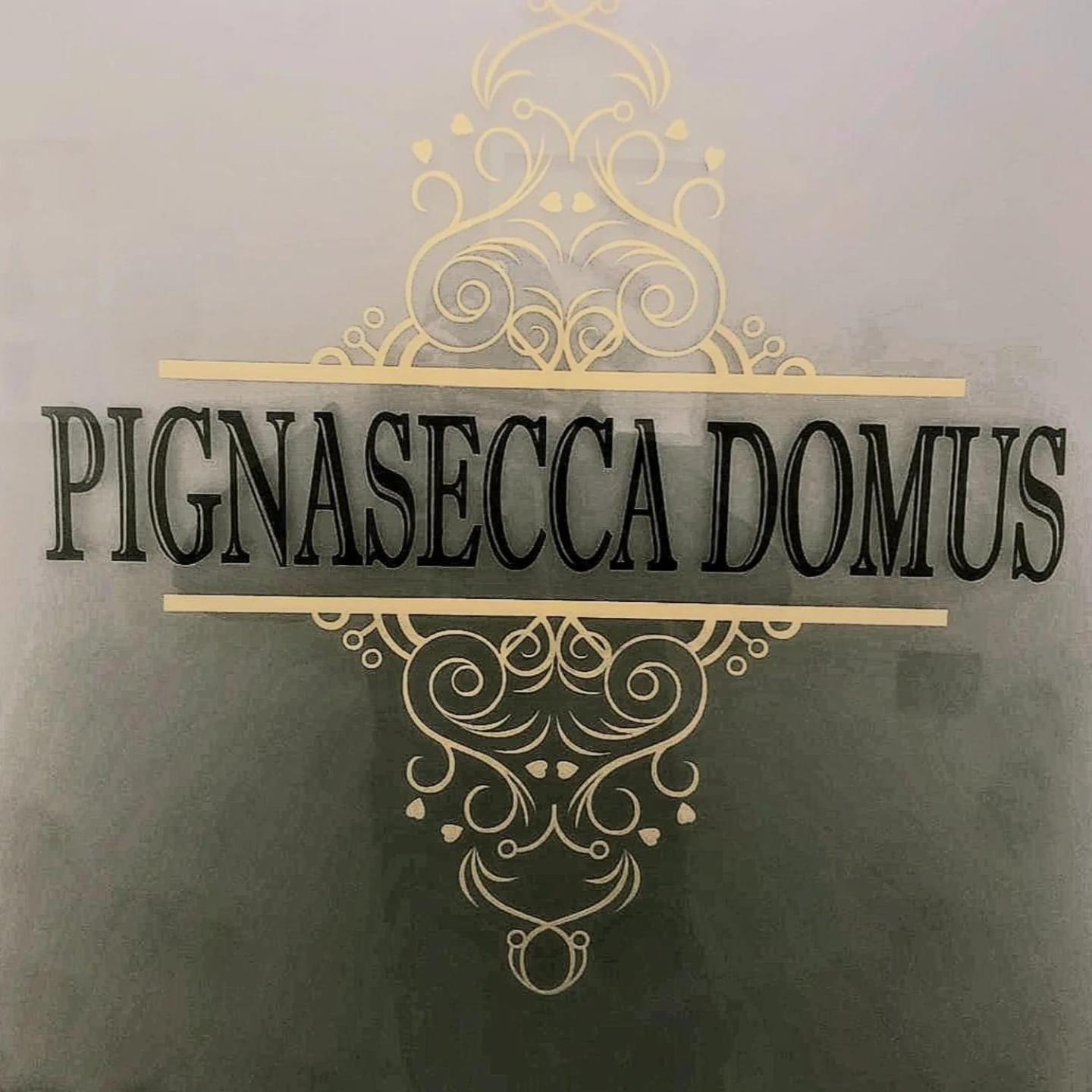 Pignasecca Domus Hotel Napoli Bagian luar foto